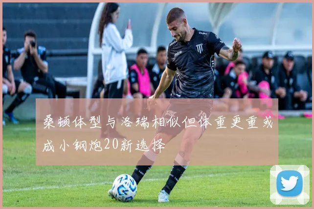 桑顿体型与洛瑞相似但体重更重或成小钢炮20新选择