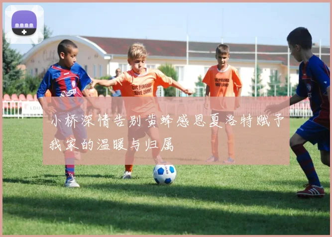 小桥深情告别黄蜂感恩夏洛特赋予我家的温暖与归属